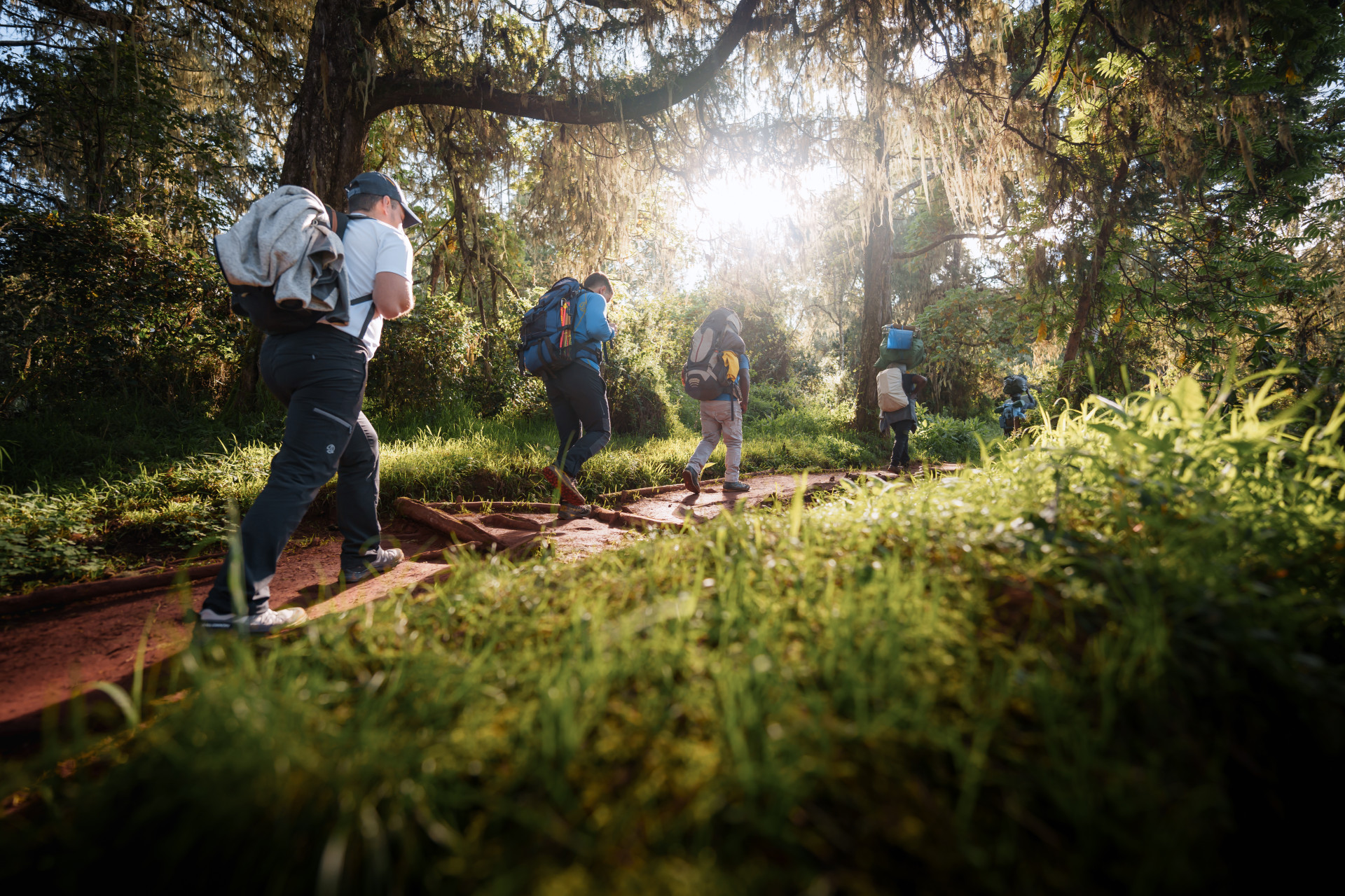 Lemosho Route-Mallya Tours