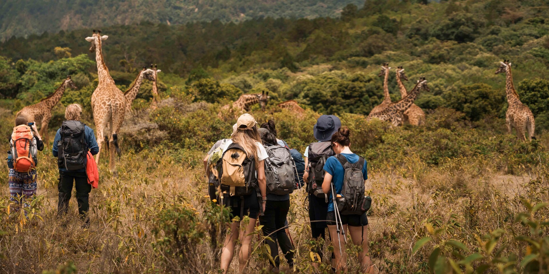 Walking Safari-Mallya tours