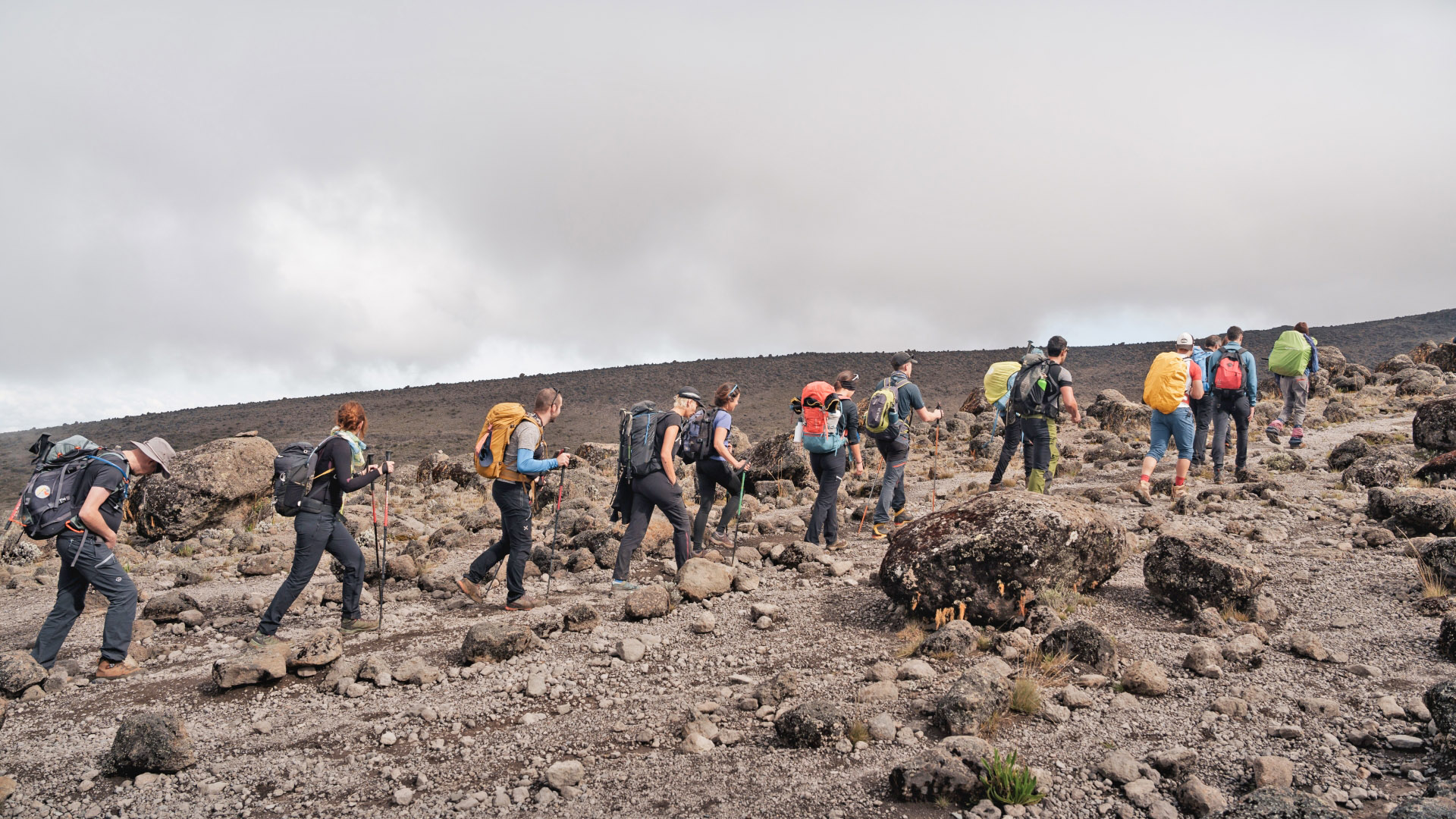 Group of adventurers climbing mount kilimanjaro-Mallya Tours