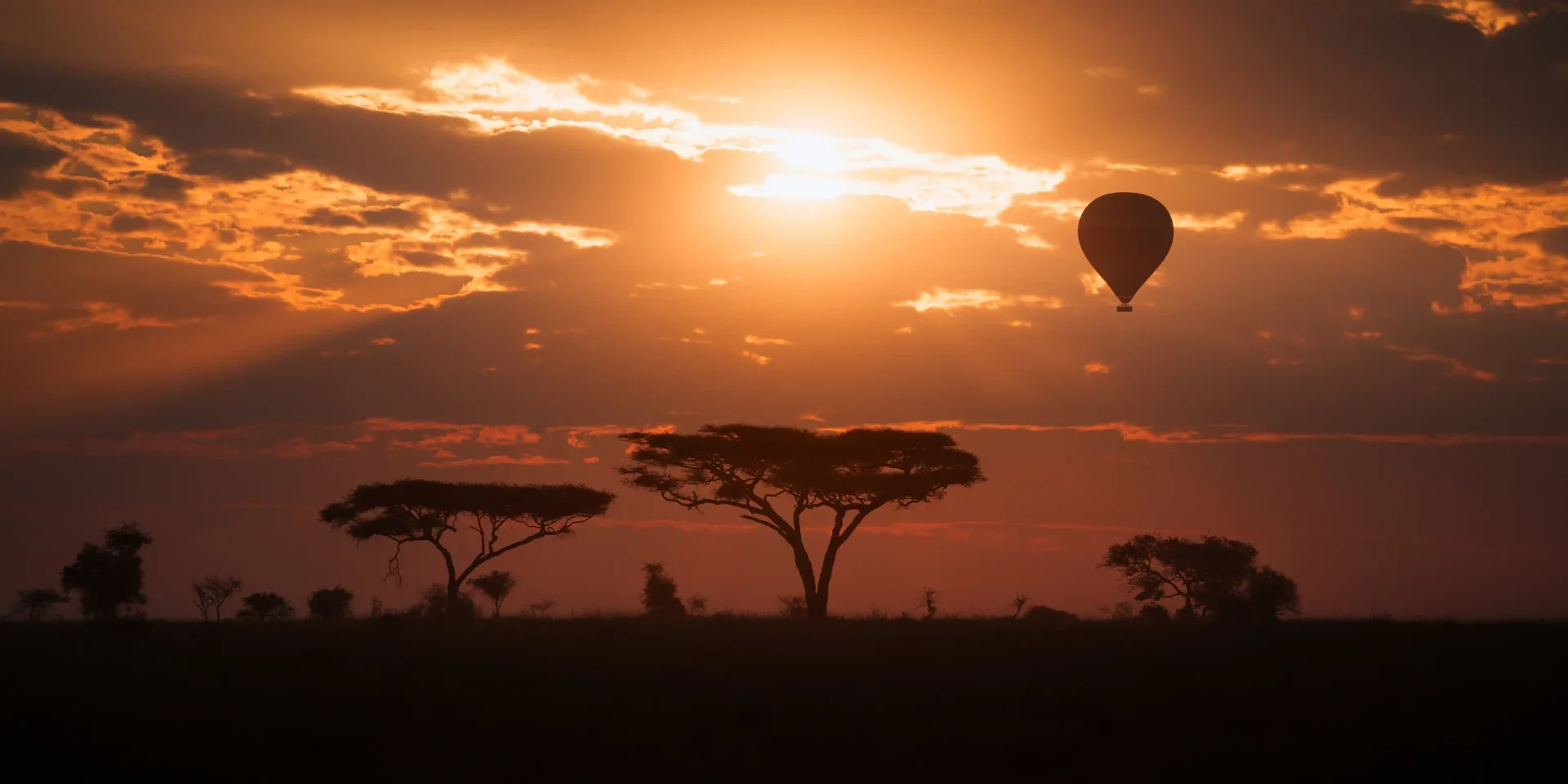 Serengeti Wildlife Sunset Balloon Safari