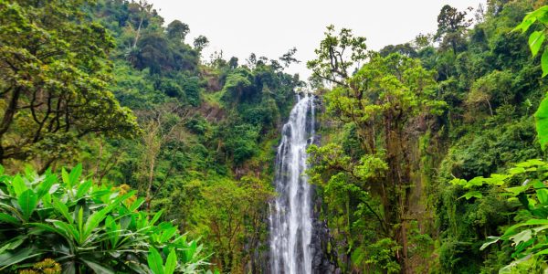 Materuni Waterfalls